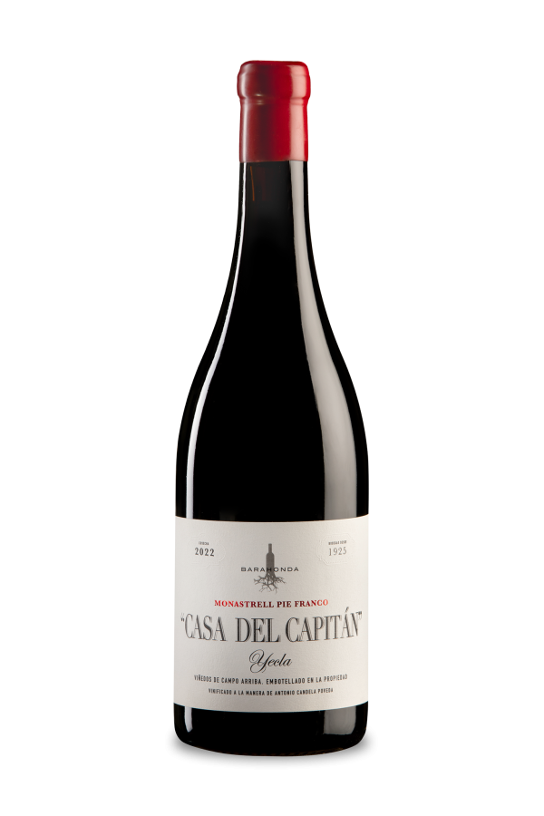 CASA DEL CAPITAN MONASTRELL 22