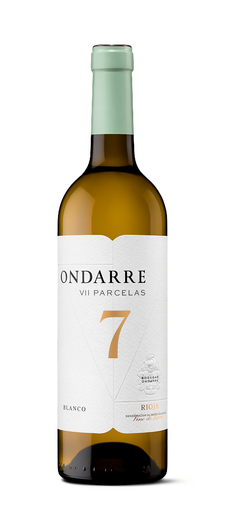 Ondarre VII Parcelas 2024